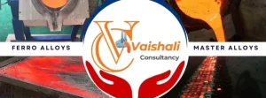 Vaishali Consultancy – Your Trusted Partner for Success